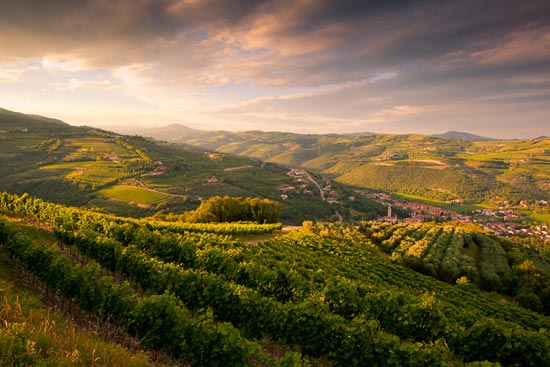 Tenuta Sant'Antonio Galeriebild