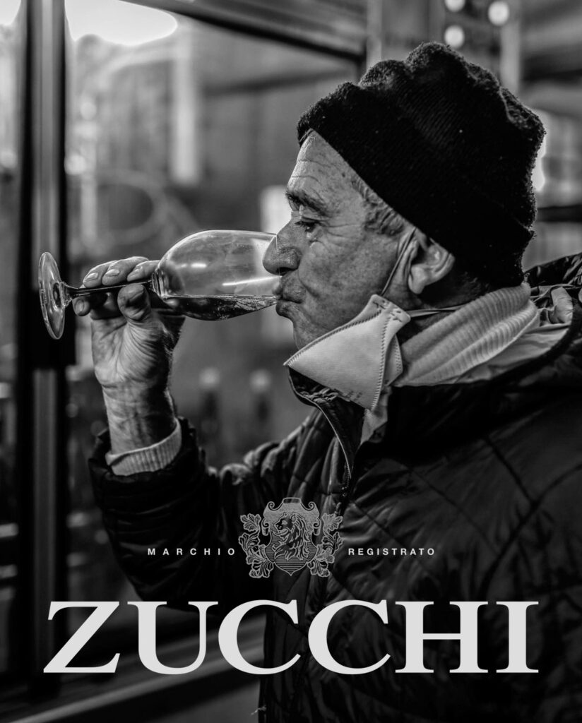 Zucchi Galeriebild