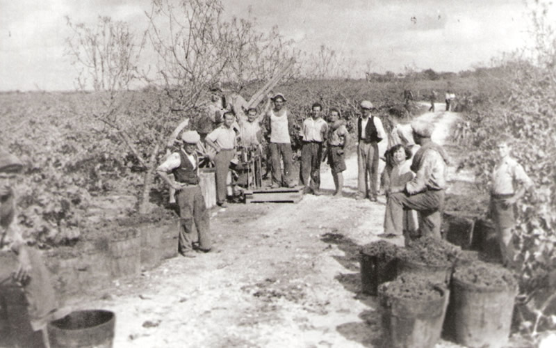 Cantina San Donaci Galeriebild
