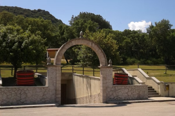 Cantina del Vermentino Monti Galeriebild