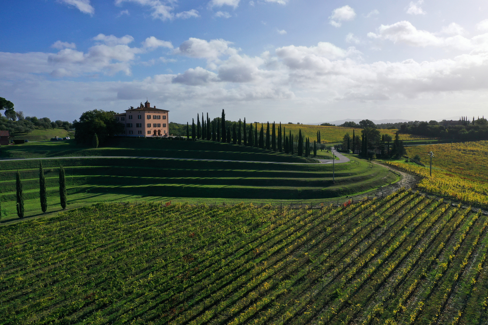 Vino Nobile