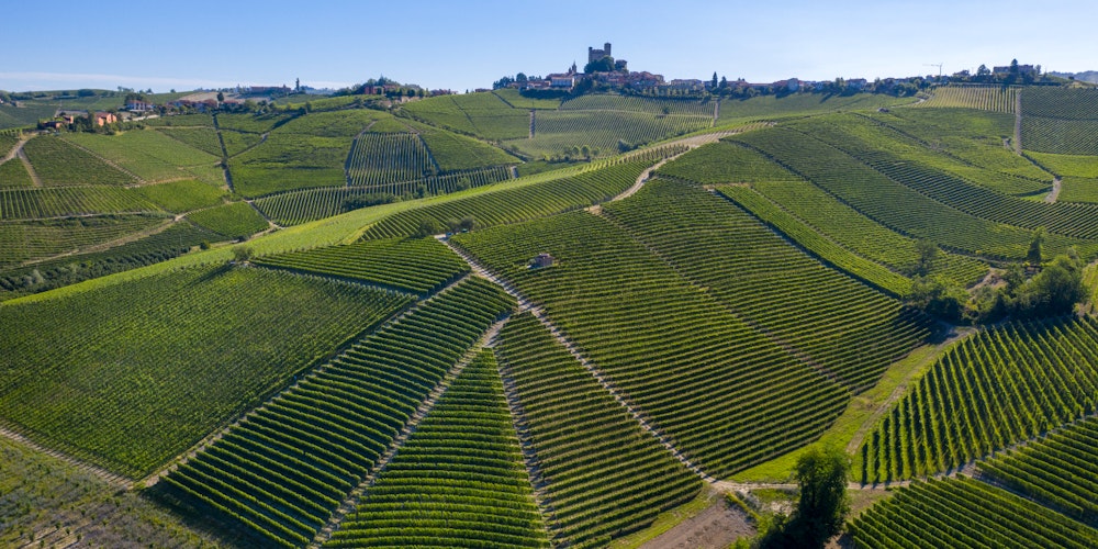 Barolo