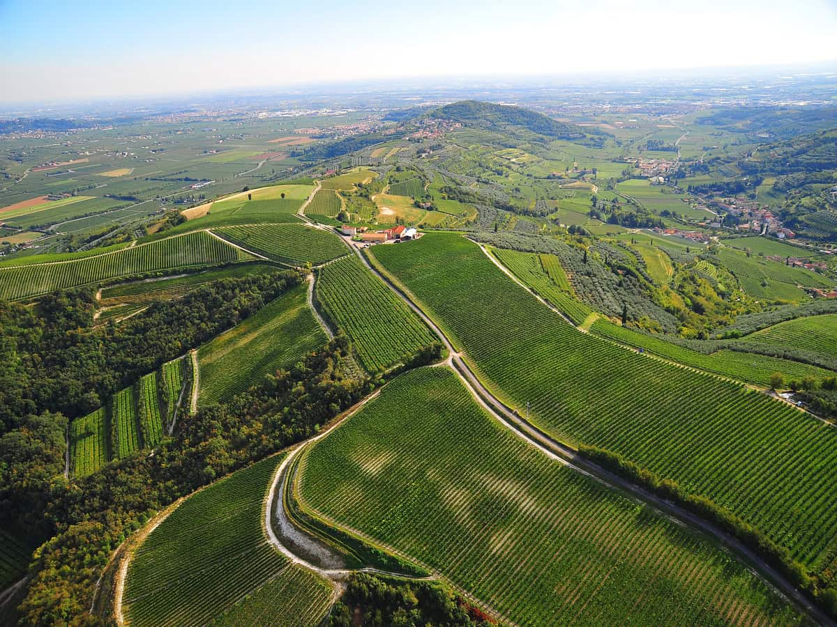 Amarone