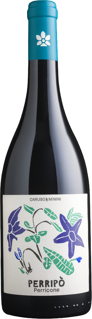 Perripo Bio Perricone Sicilia DOC