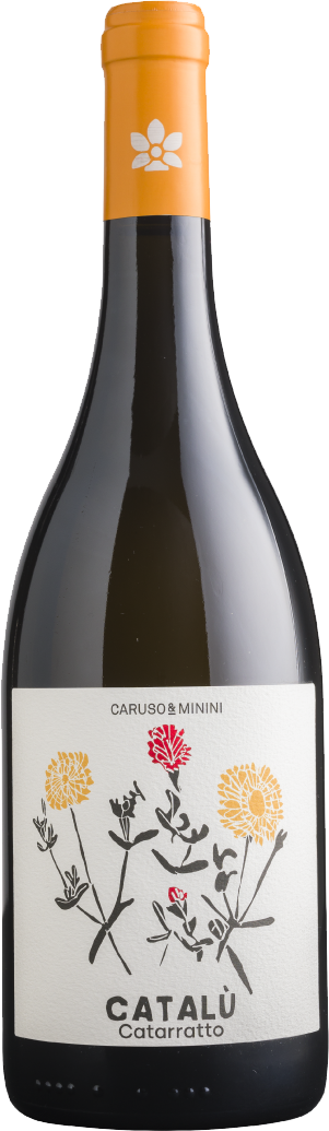 Catalu Bio Catarratto Sicilia DOC