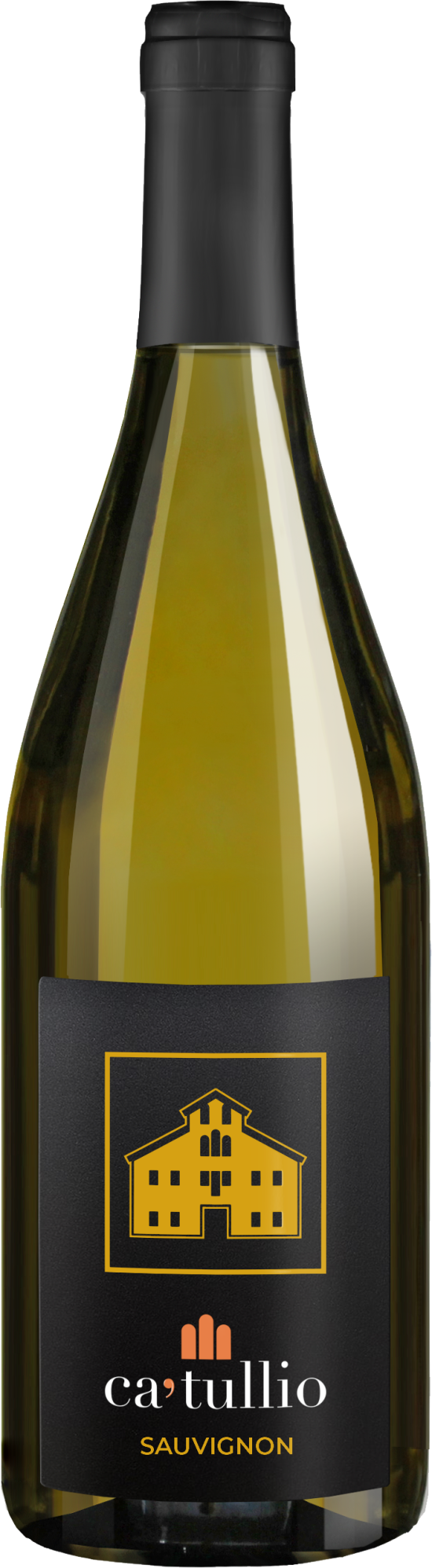 Sauvignon Friuli Colli Orientali DOC