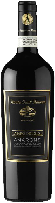 Campo dei Gigli Amarone della Valpolicella DOC