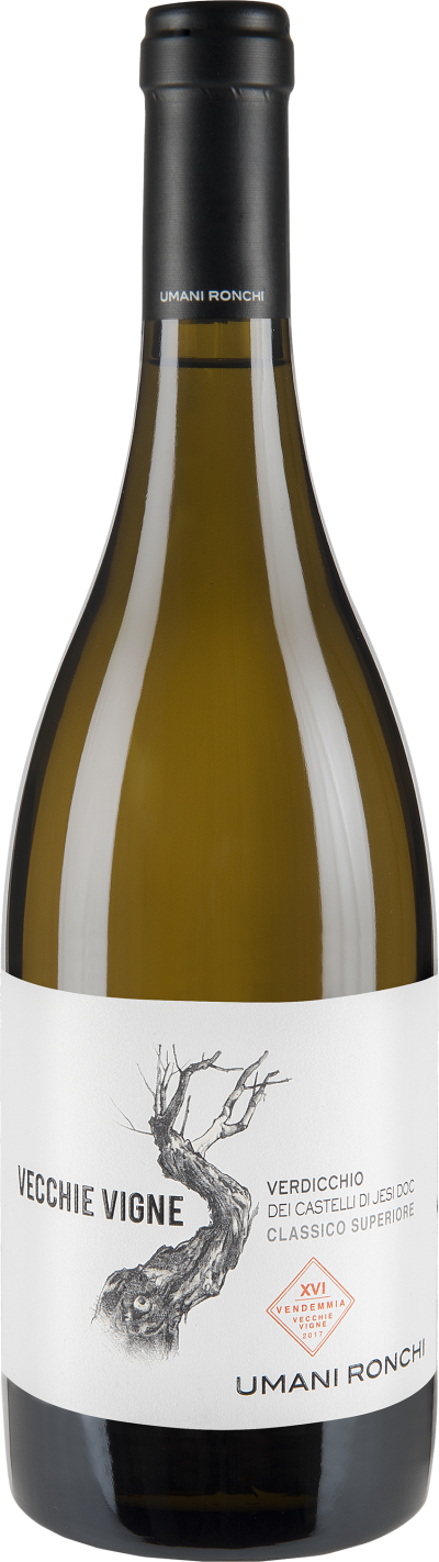 Vecchie Vigne Verdicchio dei Castelli di Jesi DOC Classico Superiore Bio