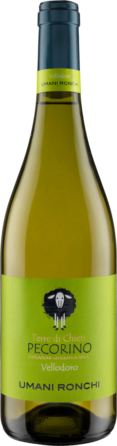 Vellodoro Pecorino Terre di Chieti IGT
