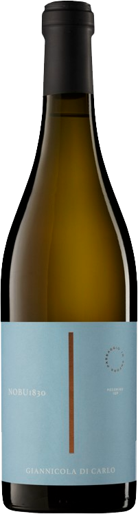 Nobu 1830 Pecorino IGP