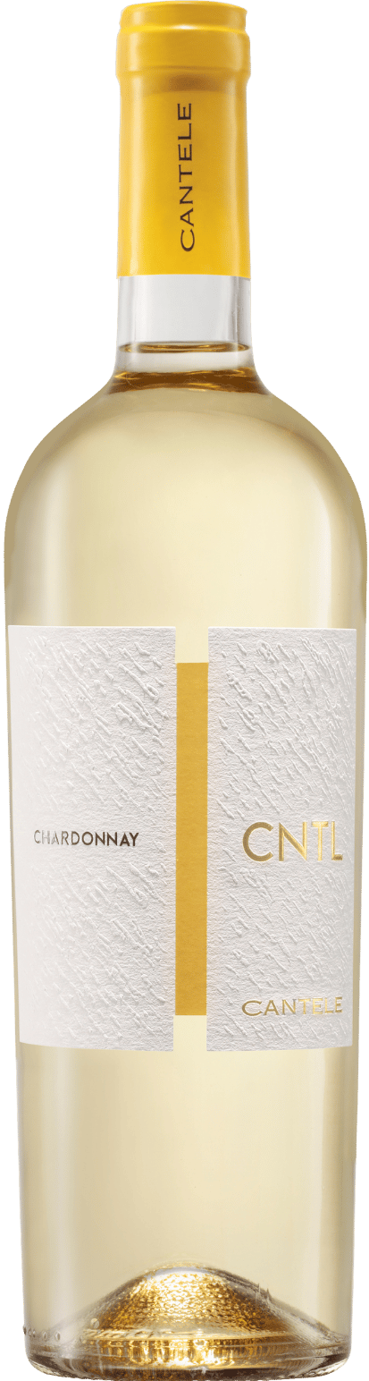 CNTL Chardonnay Salento IGP