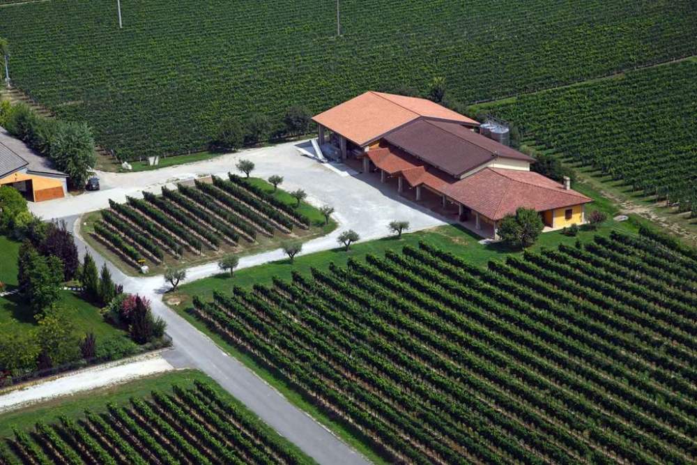 Bulgarini Galeriebild