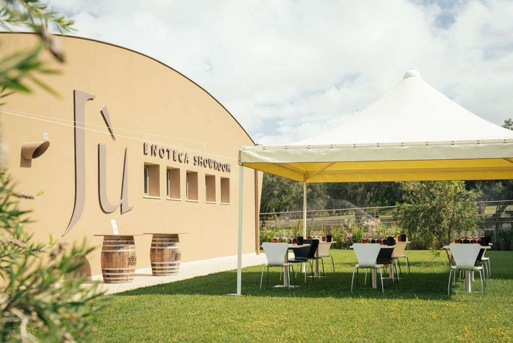 Dolianova Galeriebild