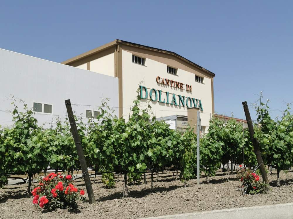 Dolianova Galeriebild