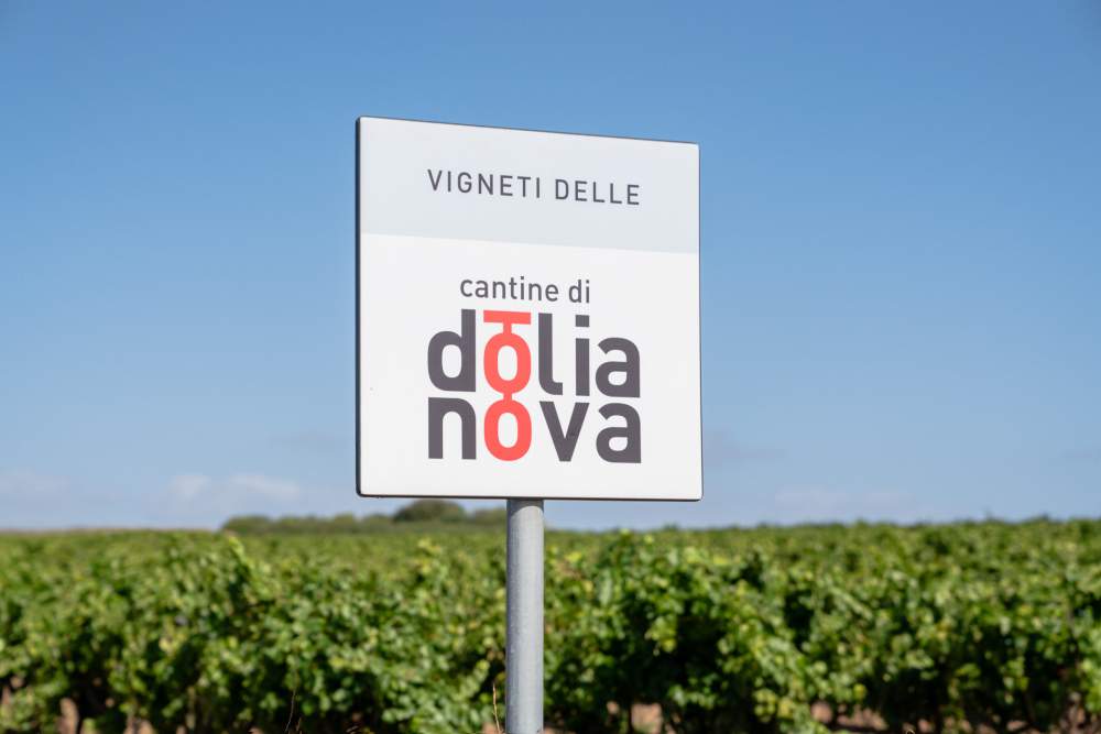 Dolianova Galeriebild