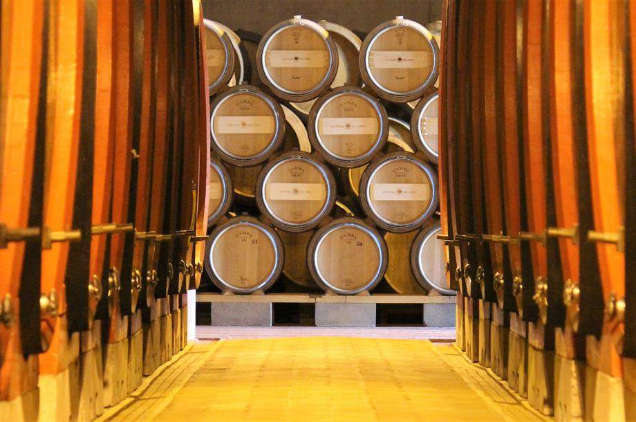 Fattoria del Cerro Galeriebild