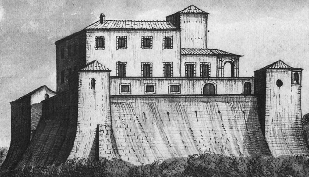 Aiola Galeriebild