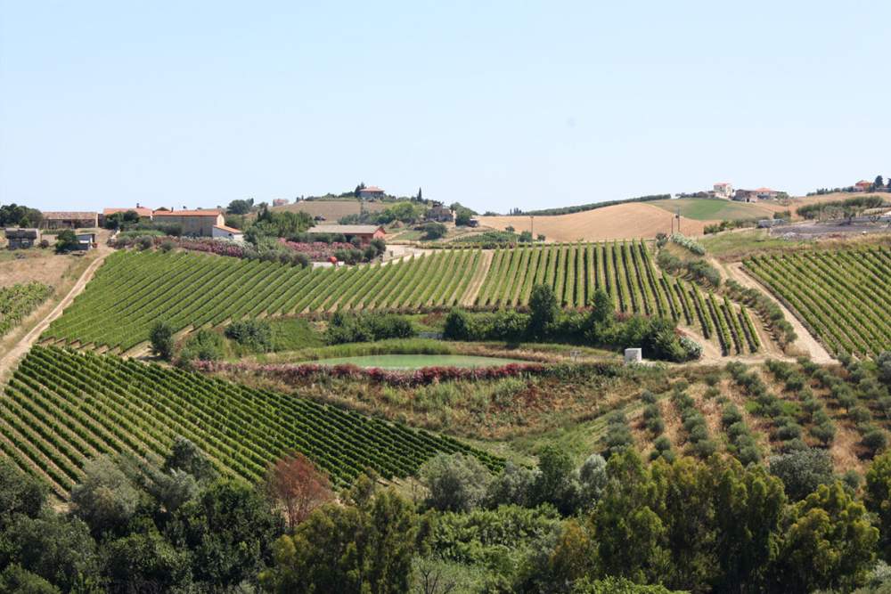 Fosso Corno Galeriebild